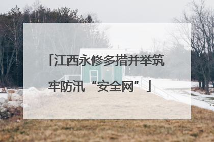 江西永修多措并举筑牢防汛“安全网”