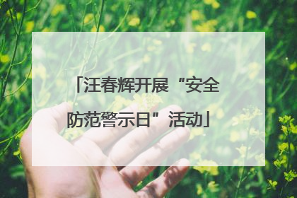汪春辉开展“安全防范警示日”活动
