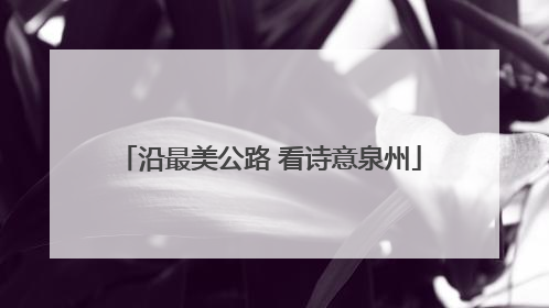 沿最美公路 看诗意泉州