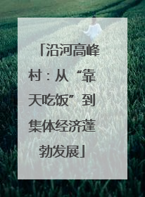 沿河高峰村：从“靠天吃饭”到集体经济蓬勃发展
