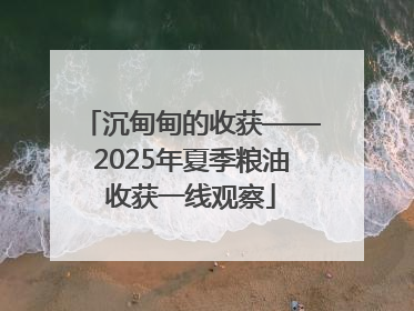 沉甸甸的收获——2025年夏季粮油收获一线观察