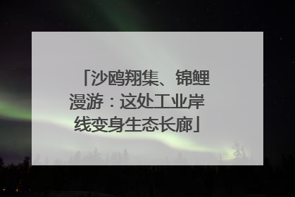 沙鸥翔集、锦鲤漫游：这处工业岸线变身生态长廊