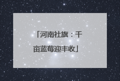 河南社旗：千亩蓝莓迎丰收