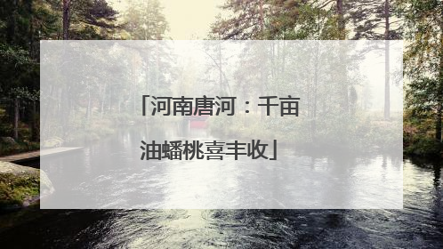河南唐河：千亩油蟠桃喜丰收