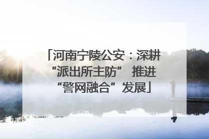 河南宁陵公安：深耕“派出所主防” 推进“警网融合”发展