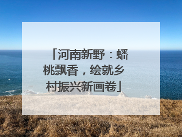 河南新野：蟠桃飘香，绘就乡村振兴新画卷