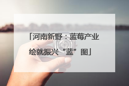 河南新野：蓝莓产业绘就振兴“蓝”图