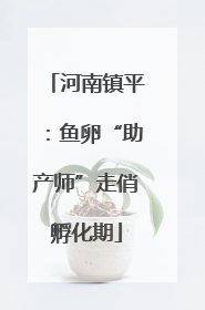 河南镇平：鱼卵“助产师”走俏孵化期
