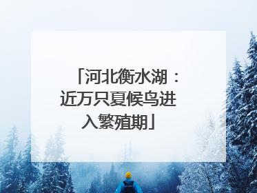 河北衡水湖：近万只夏候鸟进入繁殖期