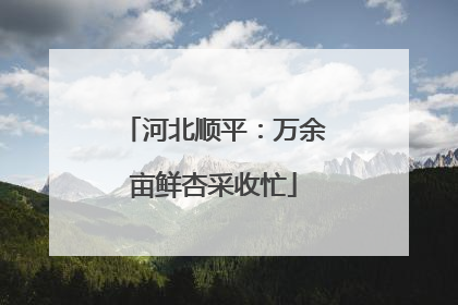 河北顺平：万余亩鲜杏采收忙