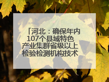 河北：确保年内107个县域特色产业集群省级以上检验检测机构技术服务全覆盖