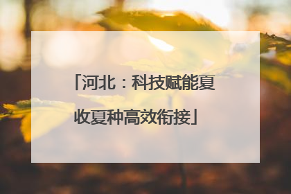 河北：科技赋能夏收夏种高效衔接