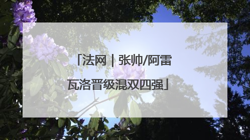 法网｜张帅/阿雷瓦洛晋级混双四强