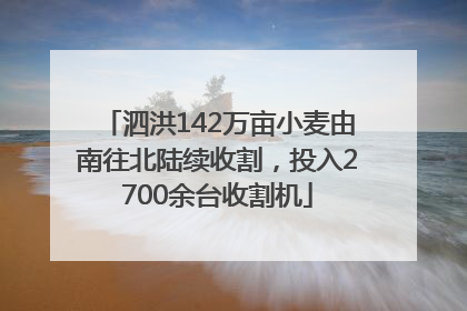 泗洪142万亩小麦由南往北陆续收割，投入2700余台收割机