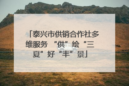 泰兴市供销合作社多维服务 “供”绘“三夏”好“丰”景