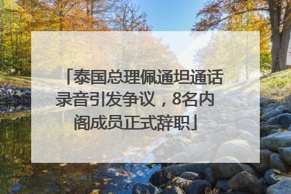 泰国总理佩通坦通话录音引发争议，8名内阁成员正式辞职