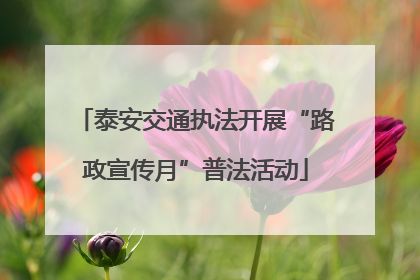 泰安交通执法开展“路政宣传月”普法活动