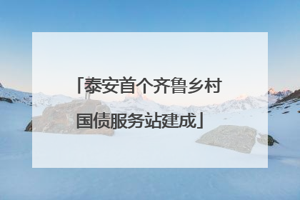 泰安首个齐鲁乡村国债服务站建成