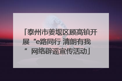 泰州市姜堰区顾高镇开展“e路同行 清朗有我”网络辟谣宣传活动