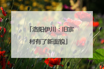 洛阳伊川：旧寨村有了新面貌