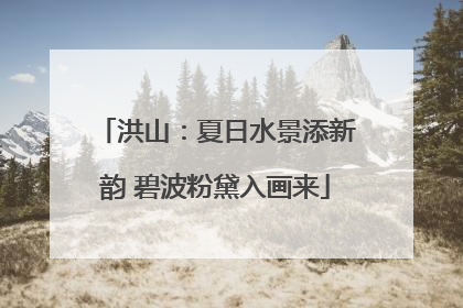 洪山：夏日水景添新韵 碧波粉黛入画来