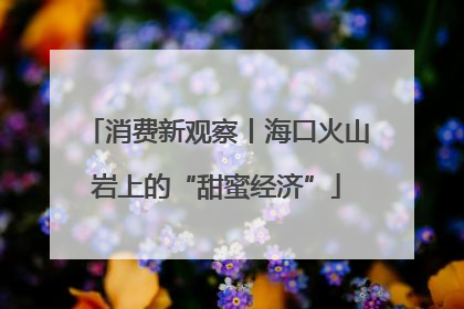 消费新观察丨海口火山岩上的“甜蜜经济”