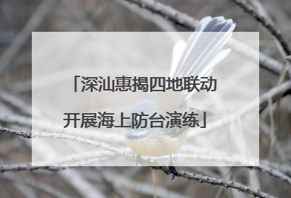 深汕惠揭四地联动开展海上防台演练