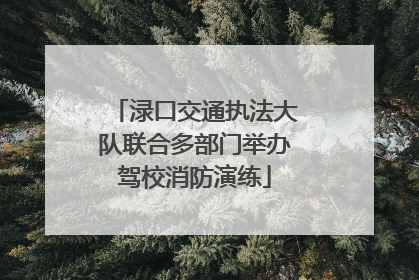 渌口交通执法大队联合多部门举办驾校消防演练
