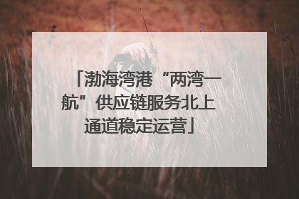 渤海湾港“两湾一航”供应链服务北上通道稳定运营