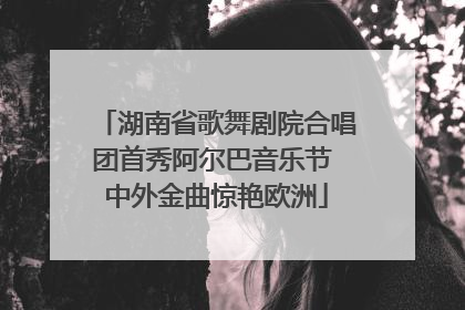 湖南省歌舞剧院合唱团首秀阿尔巴音乐节 中外金曲惊艳欧洲