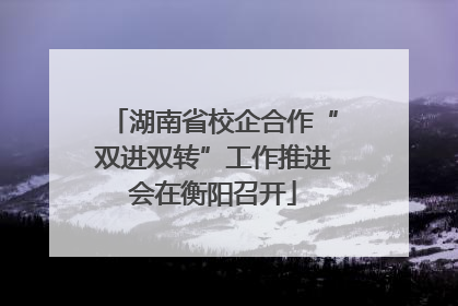 湖南省校企合作“双进双转”工作推进会在衡阳召开