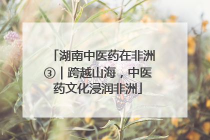 湖南中医药在非洲③｜跨越山海，中医药文化浸润非洲