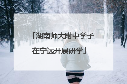 湖南师大附中学子在宁远开展研学