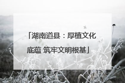 湖南道县：厚植文化底蕴 筑牢文明根基