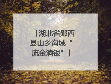 湖北省郧西县山乡沟域“流金淌银”