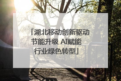 湖北移动创新驱动节能升级 AI赋能行业绿色转型