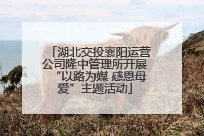 湖北交投襄阳运营公司隆中管理所开展“以路为媒 感恩母爱”主题活动