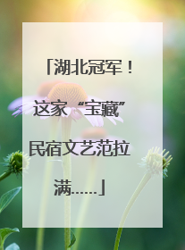 湖北冠军！这家“宝藏”民宿文艺范拉满……