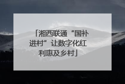 湘西联通“国补进村”让数字化红利惠及乡村