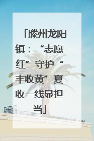 滕州龙阳镇：“志愿红”守护“丰收黄”夏收一线显担当