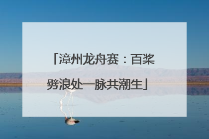 漳州龙舟赛：百桨劈浪处一脉共潮生