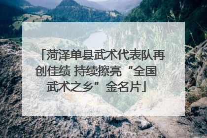 菏泽单县武术代表队再创佳绩 持续擦亮“全国武术之乡”金名片