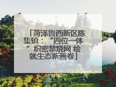 菏泽鲁西新区陈集镇：“四位一体”织密禁烧网 绘就生态新画卷