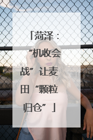 菏泽：“机收会战”让麦田“颗粒归仓”
