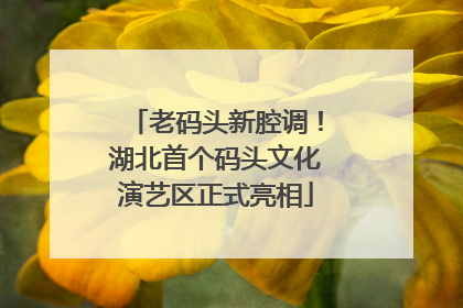 老码头新腔调！湖北首个码头文化演艺区正式亮相
