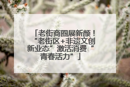 老街商圈展新颜！“老街区+非遗文创新业态”激活消费“青春活力”