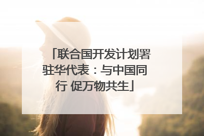 联合国开发计划署驻华代表：与中国同行 促万物共生