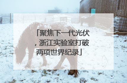 聚焦下一代光伏，浙江实验室打破两项世界纪录