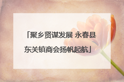 聚乡贤谋发展 永春县东关镇商会扬帆起航