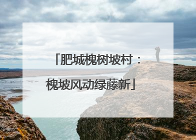 肥城槐树坡村：槐坡风动绿藤新
